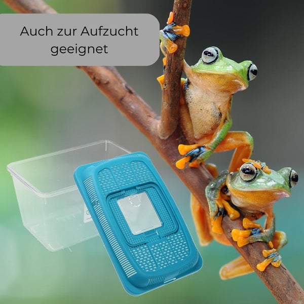 Faunabox Transport Quarantäne Box Tierbeobachtung Urzeitkrebse Triops Heimchen Fauna Box Insektenbox Amphibien Faunarium Gr. M