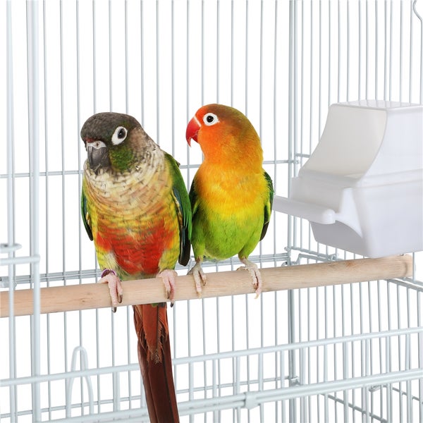 Zwei Vögel auf einer Stange in einem Vogelkäfig mit einem Futterspender