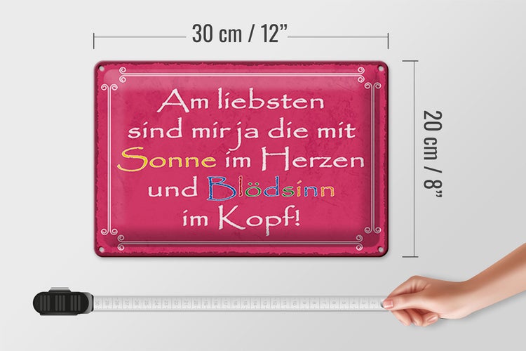 Blechschild Spruch 30x20cm am liebsten sind die mit Sonne