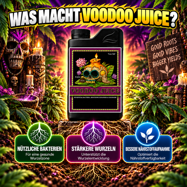 Voodoo Juice Wurzelergänzungsmittel mit nützlichen Bakterien in einer Flasche mit Infografik zu Vorteilen für Pflanzenwurzeln.