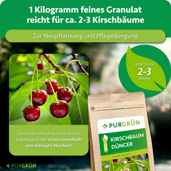 Purgrün Kirschbaumdünger als feines Granulat für Neupflanzung und Pflegedüngung von Kirschbäumen in einer Packung mit einem Kilogramm Inhalt.