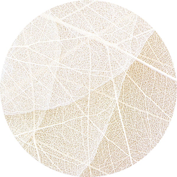 Nahaufnahme eines Blattskeletts in einem runden Format