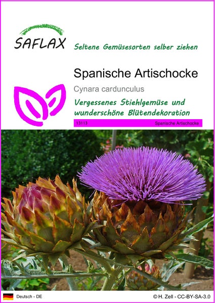 SAFLAX  - Spanische Artischocke - Cynara cardunculus - 50 Samen