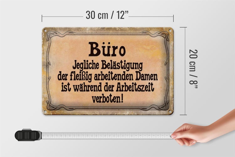 Blechschild Spruch 30x20cm Büro Belästigung der Damen