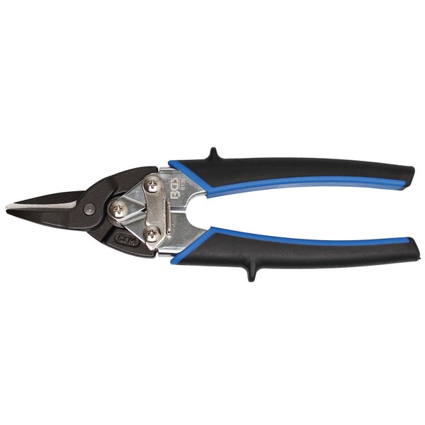 Kaktus mit wolligen Dornen in einem Pflanztopf