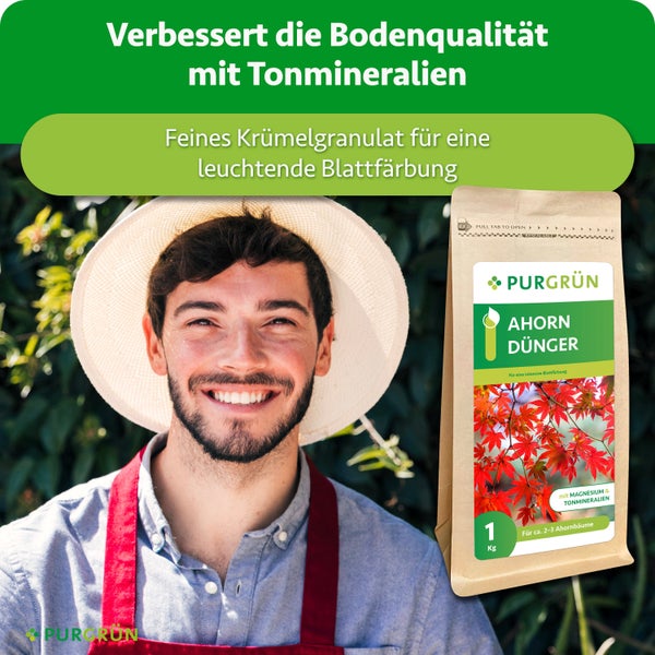 Lächelnder Gärtner mit Hut neben einer Packung Purgrün Ahorndünger als Granulat für Bodenqualität und intensive Blattfärbung.