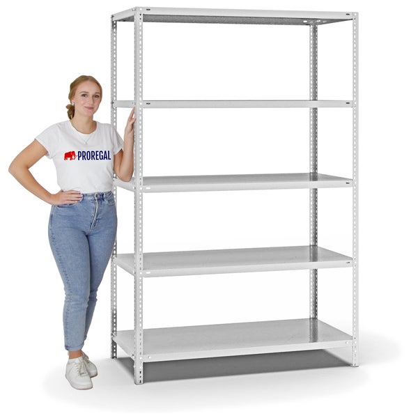 PROREGAL Fachbodenregal Schraubsystem Light-Duty Grundregal HxBxT 200 x 130 x 60 cm 5 Ebenen Fachlast 125 kg Beidseitig Nutzbar Lichtgrau