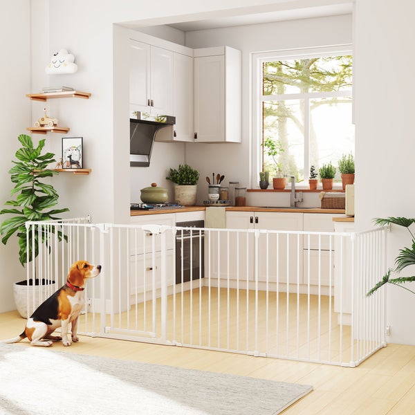 Weißes modulares Hundeschutzgitter am Kücheneingang in einer hellen Wohnung, davor sitzt ein Beagle-Hond.