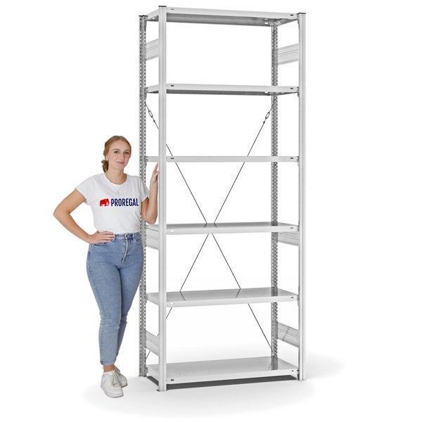 PROREGAL Fachbodenregal Stecksystem T-Profil Medium-Duty Grundregal HxBxT 250 x 100 x 40 cm 6 Ebenen Fachlast 225 kg Einseitig Nutzbar Lichtgrau