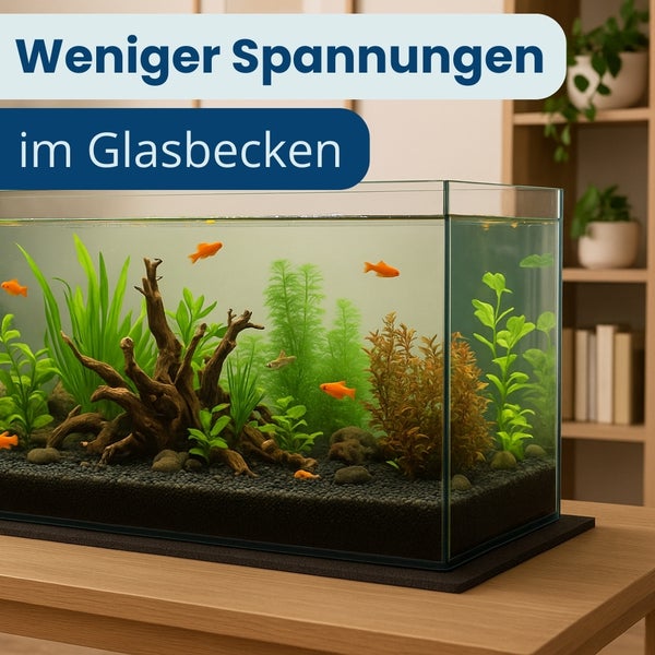 Dekoratives Aquarium mit Wasserpflanzen, Fischen und Wurzelholz auf einem Tisch. Aufschrift: Weniger Spannungen im Glasbecken