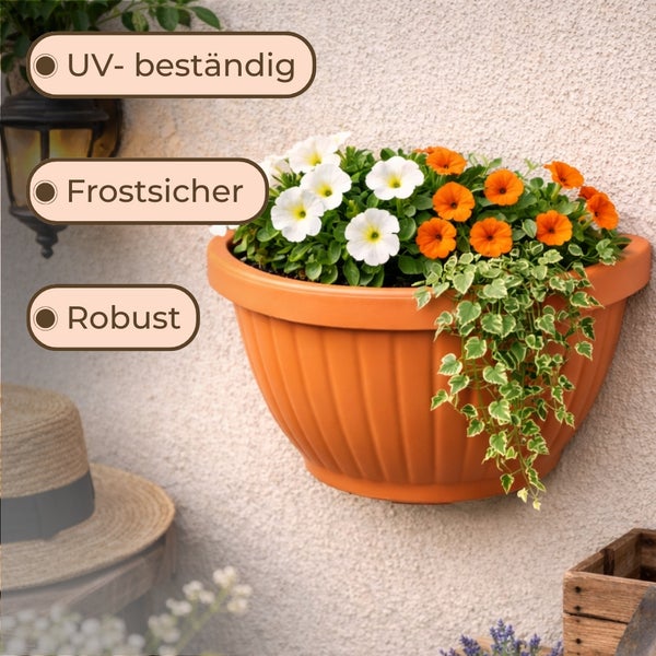 Wandblumentopf mit weiß-orangen Blumen, UV-beständig, frostfest und robust.