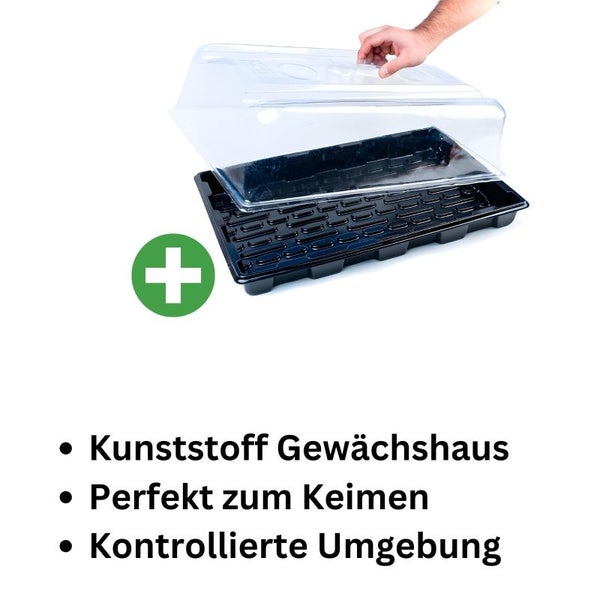 VDL Grow Gewächshaus 39x59x21 cm mit Belüftung – Kunststoff-Propagator für Stecklinge, Steinwolle-Tabletts & professionelle Pflanzenzucht