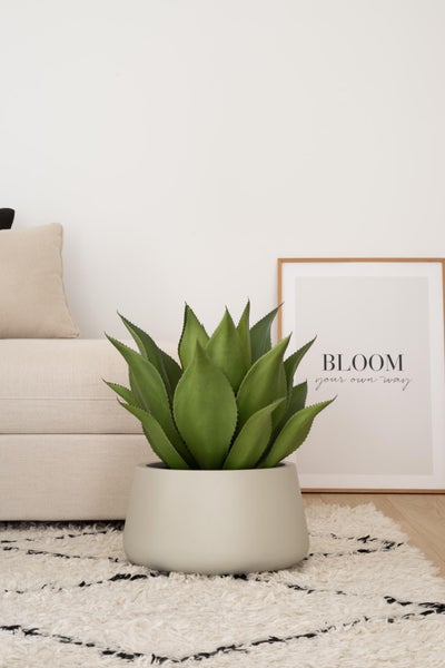 Künstliche Agave im runden Übertopf auf einem Hochflorteppich in einem hellen Wohnzimmer neben einem Sofa.