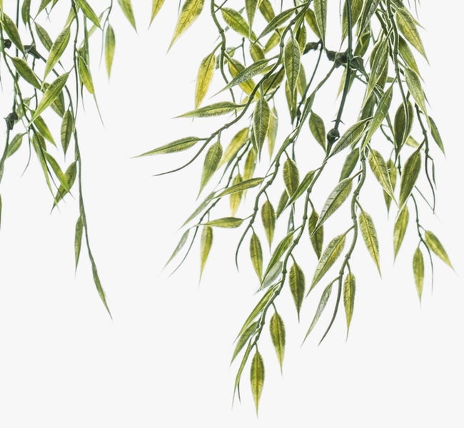 Künstliche Ranunkel in Rosa mit langem grünem Stiel und Blättern.