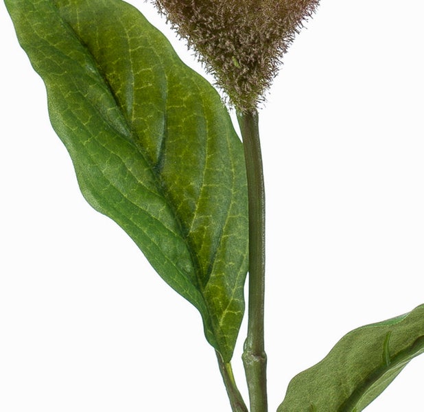 Kunstblume Celosia Hahnenkamm in Purpur mit grünem Stiel und zwei Blättern.