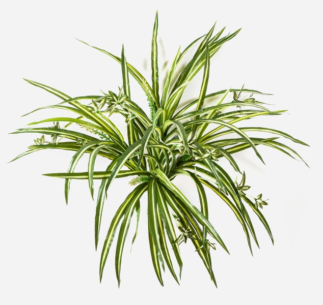 Künstlicher Orchideenzweig mit zahlreichen pinken Blüten an einem grünen Stiel.