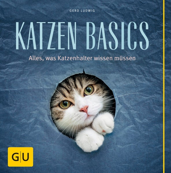 Katzen-Basics Alles, was Katzenhalter wissen müssen