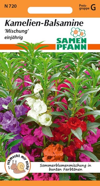 Kamelien-Balsamine Samenmischung für einjährige Sommerblumen