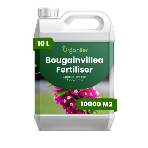 Organifer Bougainvillea-Dünger, organisches Düngerkonzentrat, 10 Liter Kanister für 10000 Quadratmeter.