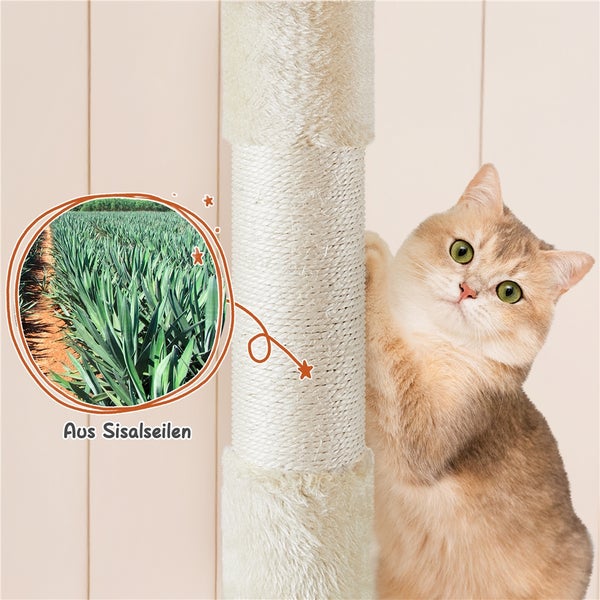 Katze an Kratzbaum aus Sisal