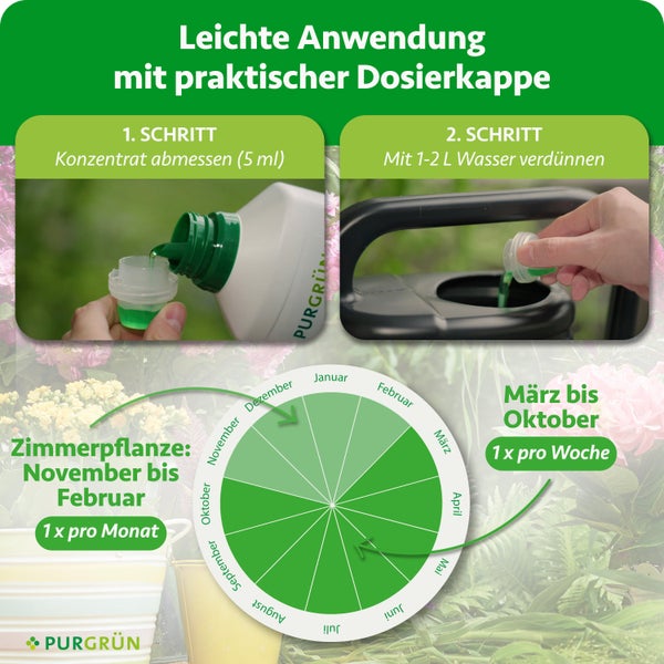 Infografik zur Anwendung von Purgrün Dünger: 5 Milliliter Konzentrat mit 1 bis 2 Liter Wasser mischen. Saisonale Anwendungshäufigkeit. Purgrün Logo.