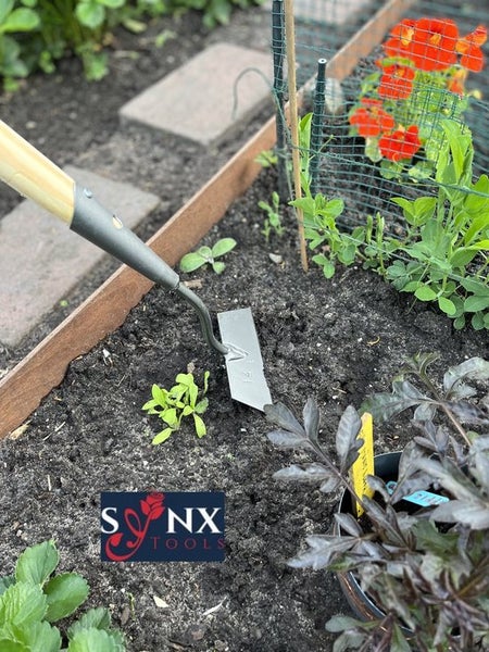 Gartenhacks mit Holzgriff, eingesetzt in einem Gartenbeet mit Pflanzen