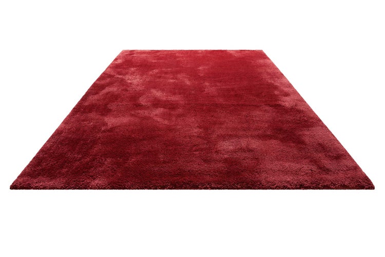 Teppich Rot Pisa Homie Living 120x170 cm