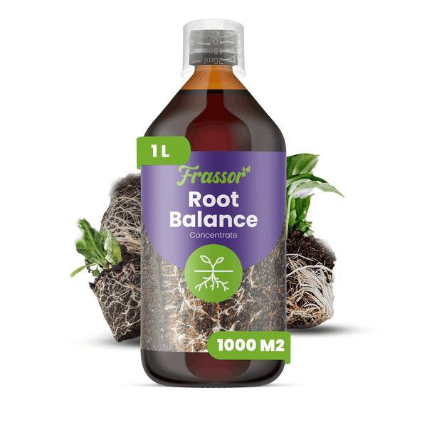 Frassor Root Balance Konzentrat, 1 Liter Flasche für 1000 Quadratmeter, zur Förderung des Wurzelwachstums bei Pflanzen.