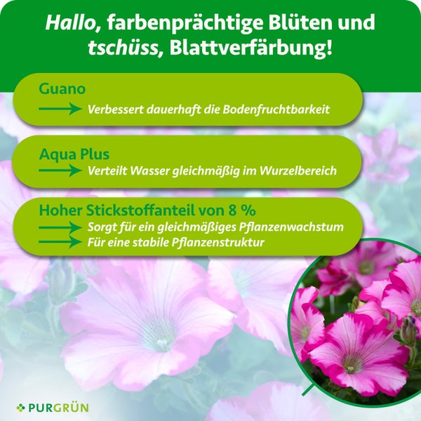 Grüne Heckenpflanzen in schwarzen Töpfen stehen in einem hellen, organisierten Gewächshaus auf einem Metalltisch.