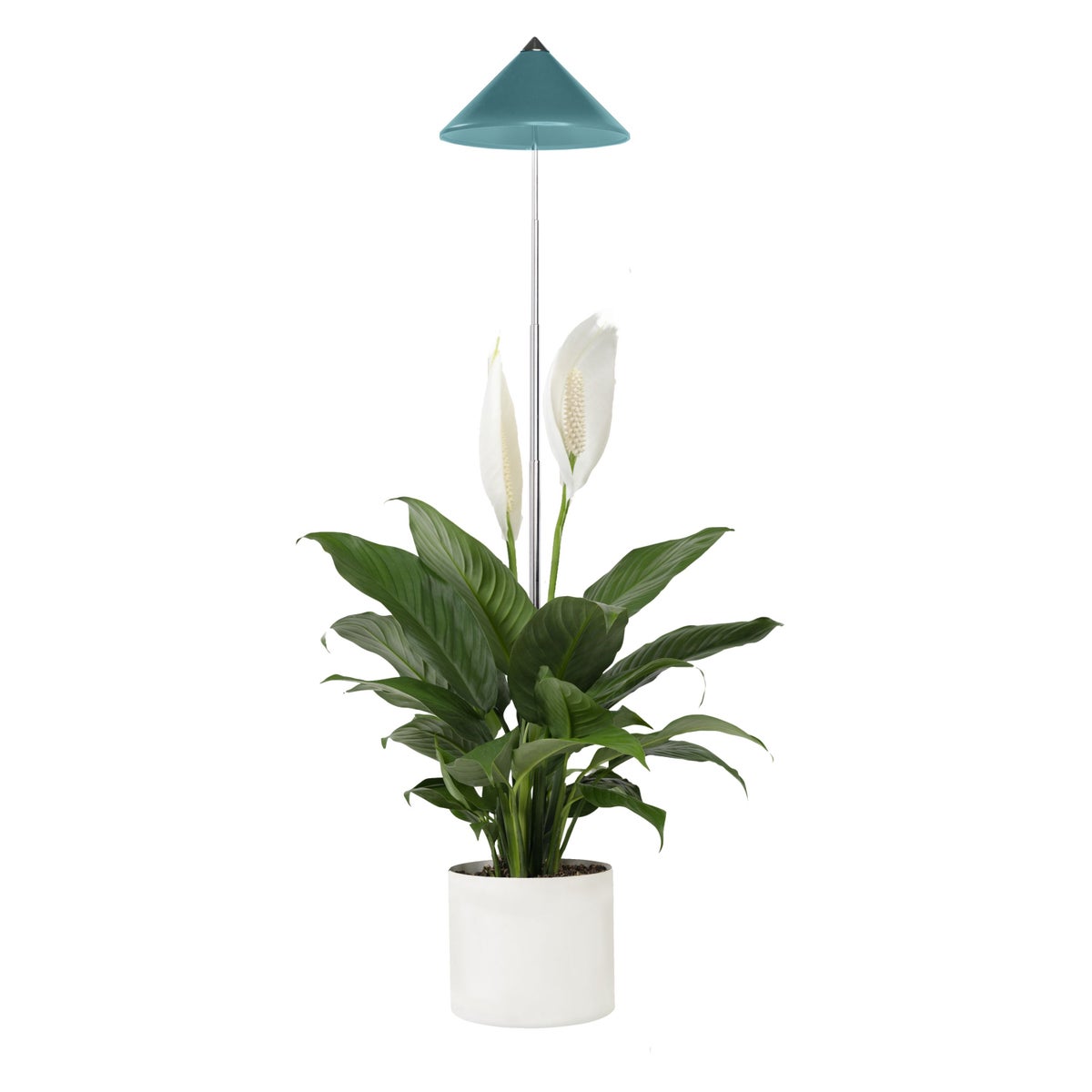 Parus by Venso SUNLiTE LED Pflanzenlampe klein 7W Petrol , Wachstumslampe mit Teleskopstab, Grow Light für Zimmerpflanzen und Grünpflanzen