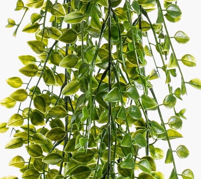 Künstliche Pflanze mit großen, herzförmigen Blättern und markanter, heller Blattaderung.