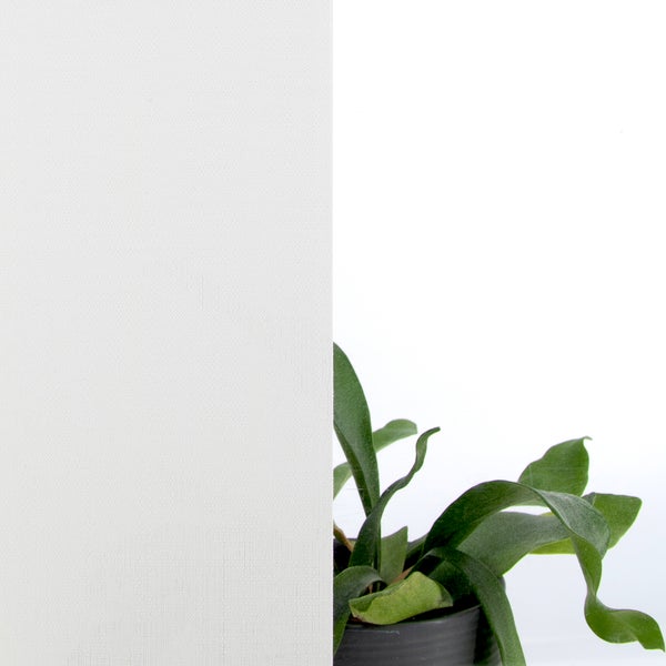 Strukturierter, lichtdurchlässiger weißer Stoff für Rollos oder Plissees vor einer Pflanze.