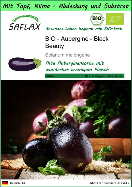 SAFLAX Garden to go - BIO - Aubergine - Black Beauty - Solanum melongena - 25 Samen - Mit Topf, Klima - Deckel und Anzuchtsubstrat