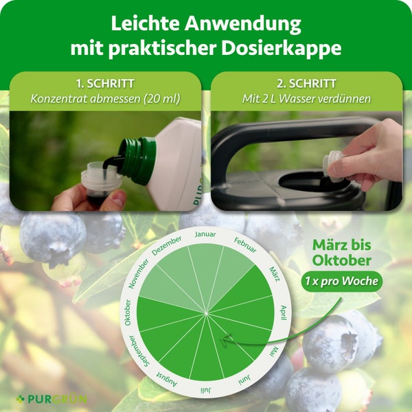 Anleitung zur Anwendung von Purgruen Duenger mit Dosierkappe und jahreszeitlichem Anwendungsplan von Maerz bis Oktober.
