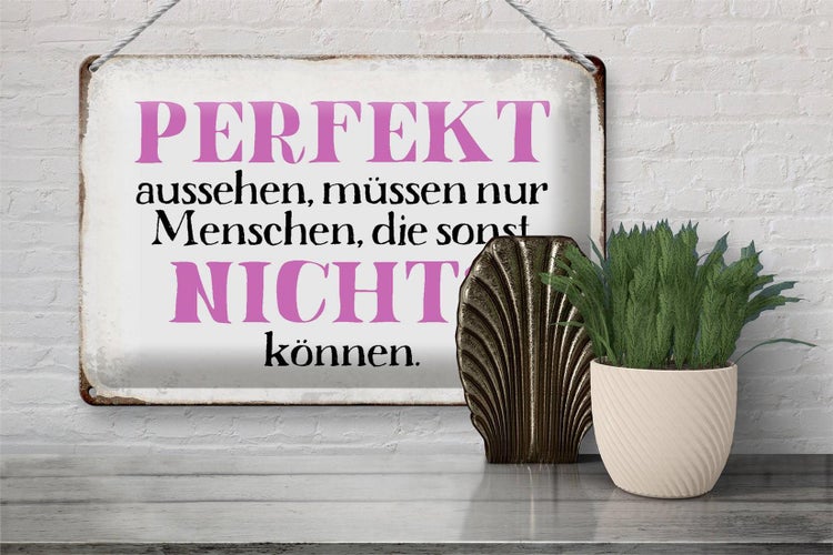 Blechschild Spruch 30x20cm perfekt aussehen nichts können