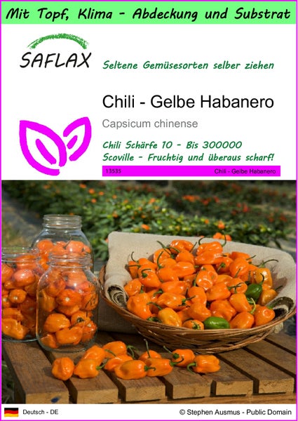 SAFLAX Garden to go - Chili - Gelbe Habanero - Capsicum chinense - 10 Samen - Mit Topf, Klima - Deckel und Anzuchtsubstrat