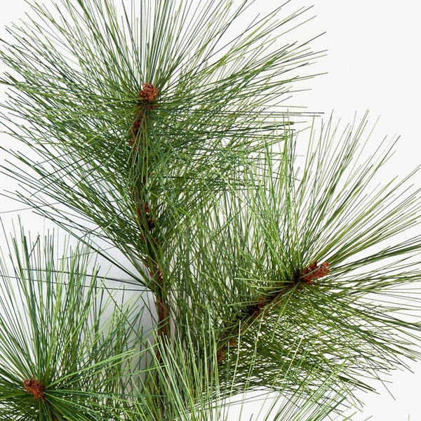 Künstlicher Kiefernzweig mit langen Nadeln und kleinen braunen Knospen.