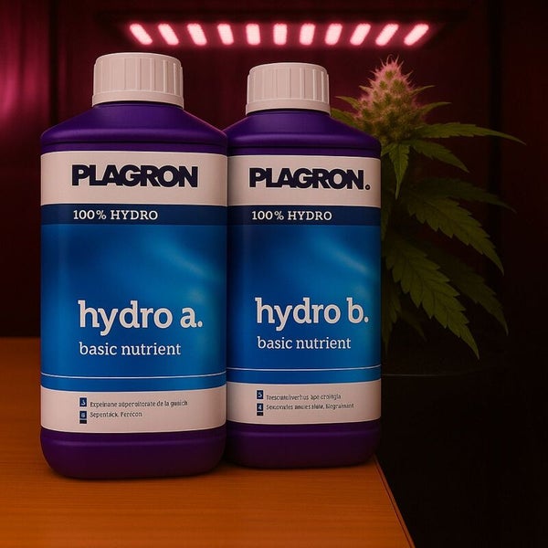 Zwei Flaschen Plagron Hydro A und Hydro B Basischer Nährstoff für Hydrokulturen