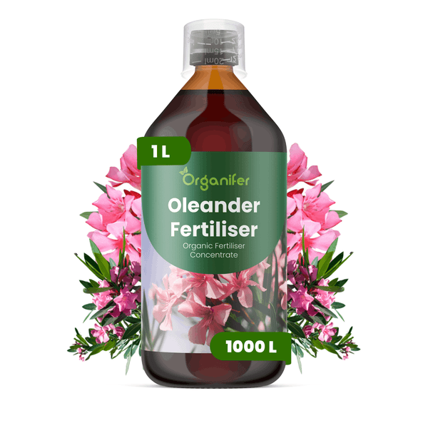 Organifer Oleanderdünger, organischer Flüssigdünger Konzentrat, 1 Liter Flasche mit Messbecherverschluss und Oleanderblüten.