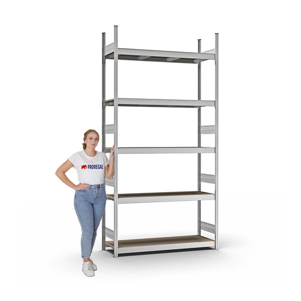PROREGAL Weitspannregal Stecksystem T-Profil Grundregal HxBxT 300x150x40 cm 5 Ebenen Spanplatten Fachboden Fachlast 350 kg Verzinkt