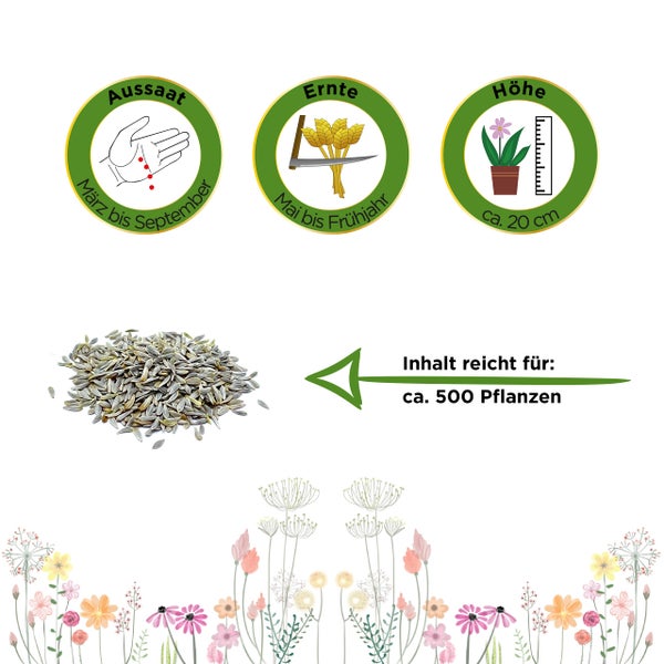 Symbole für Aussaat von März bis September, Ernte von Mai bis zum Frühjahr, Wuchshöhe circa 20 Zentimeter und Inhalt für circa 500 Pflanzen.