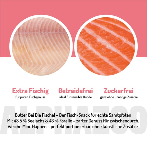 Illustration von Fischsnacks für Hunde, getreidefrei und ohne Zuckerzusatz