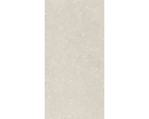 Wand- und Bodenfliese Shellstone beige 60x120cm