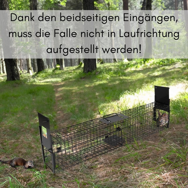 Lebendfalle mit zwei Eingängen im Außenbereich