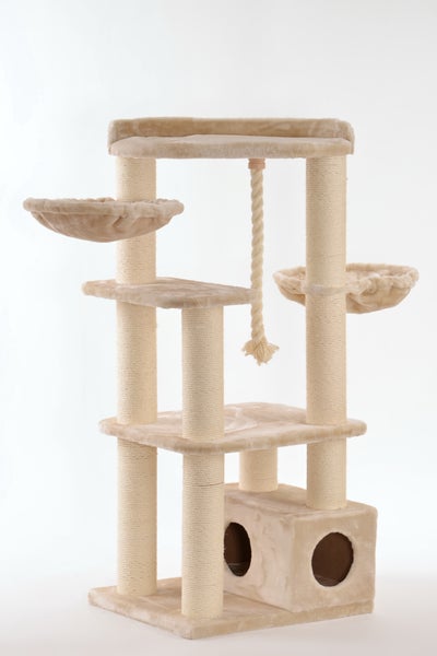 Rohrschneider Katzenbaum Enya