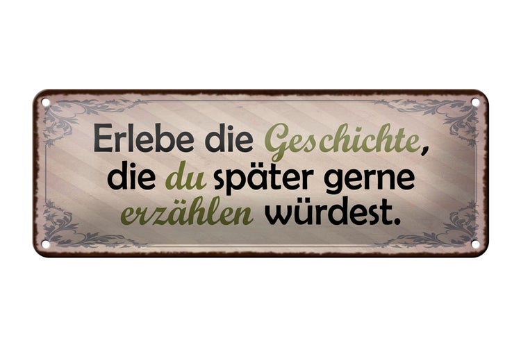 Blechschild Spruch 27x10cm erlebe Geschichte später erzähle Dekoration
