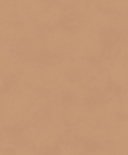 Bio Green Exclusiv Gewächshaus