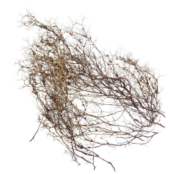 Outdoor-Kerze in Keramikschale mit drei Dochten, umgeben von einem Kranz aus Lavendel und Zitronen auf einer Holzscheibe.