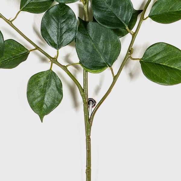 Grüne gezackte und gelappte Blätter einer Pflanze.