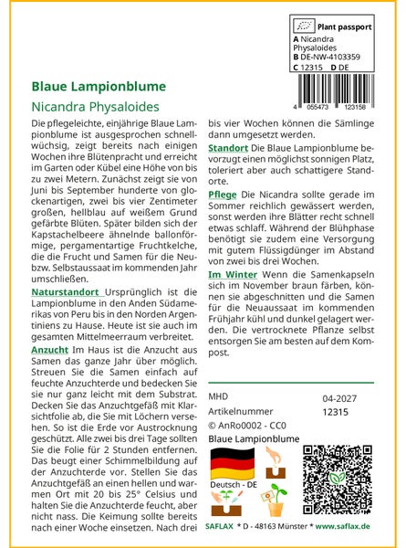 SAFLAX Anzucht Set - Blaue Lampionblume - Nicandra Physaloides - 100 Samen - Mit Mini-Gewächshaus, Anzuchtsubstrat und 2 Töpfen